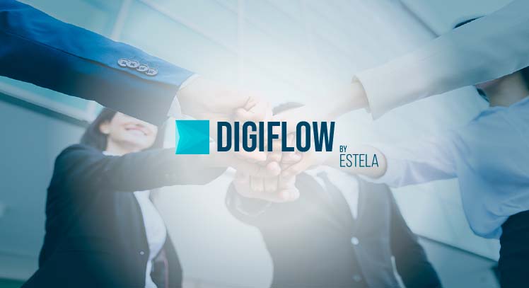 (c) Digiflow.pe
